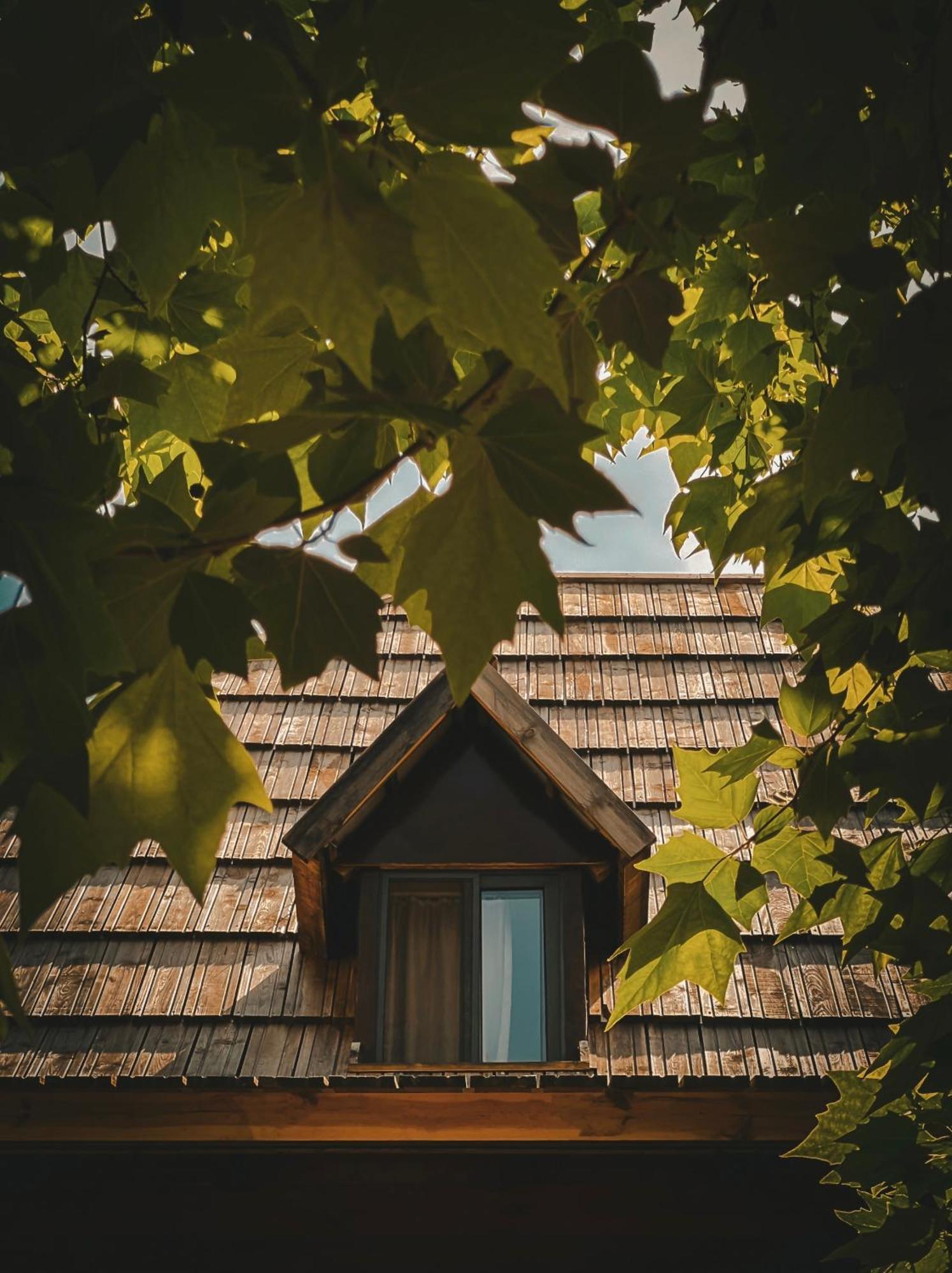 Guesthouse Pashko Theth Dış mekan fotoğraf