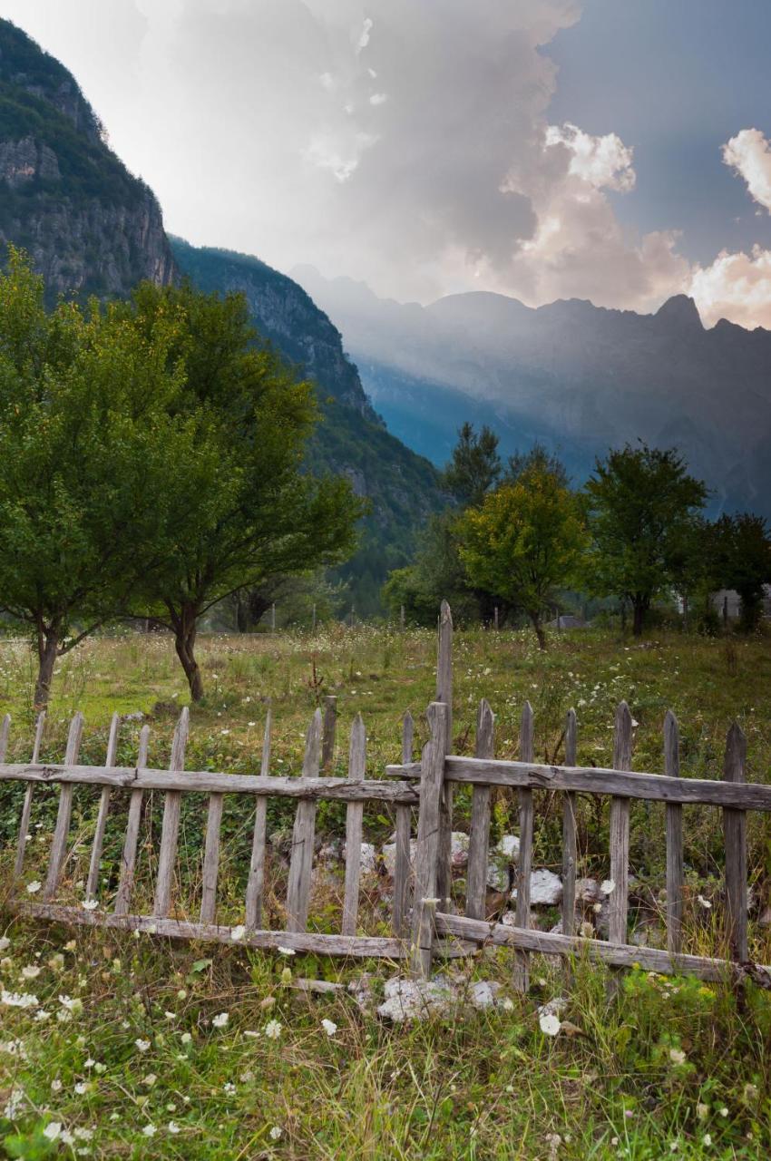 Guesthouse Pashko Theth Dış mekan fotoğraf